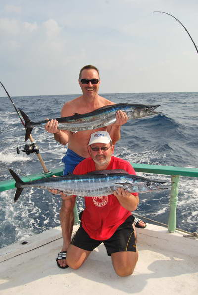 pelamidy - wahoo pelamidy - wahoo