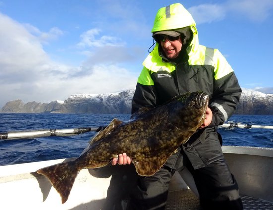 rijnovy halibut 105 cm, 10 kg rijnovy halibut 105 cm, 10 kg