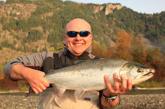 losos kisuc-coho uloveny koncem rijna losos kisuc-coho uloveny koncem rijna