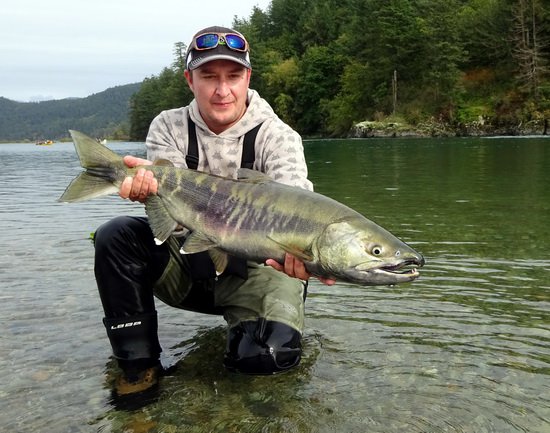 losos keta - dog - chum salmon uloveny na musku