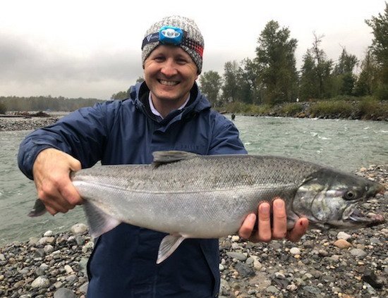 Losos kisuč - coho salmon