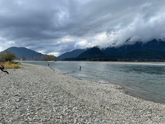 Harrison River - 1,5 m vody podstav Harrison River - 1,5 m vody podstav