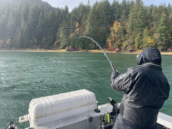 Harrison River - zdolávání velkého jesetera