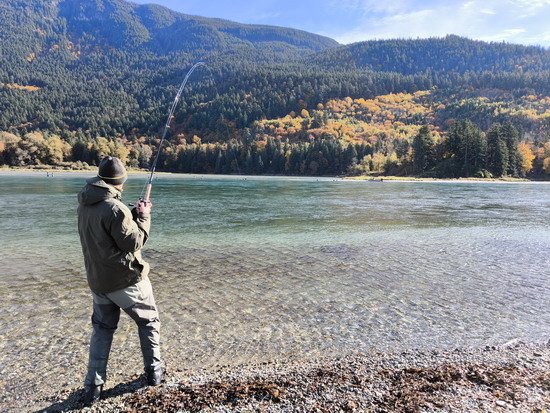 Lov lososů na řece Harrison