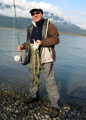 losos keta - chum salmon losos keta - chum salmon