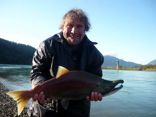 losos nerka - sockeye salmon, mlicak losos nerka - sockeye salmon, mlicak