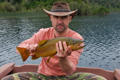 pstruh obecny 54 cm pstruh obecny 54 cm