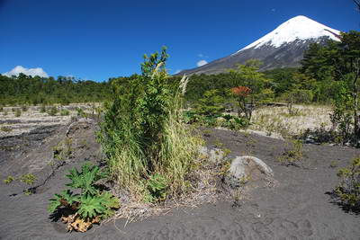 sopka Osorno