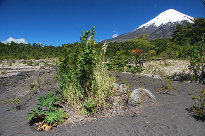 sopka Osorno sopka Osorno