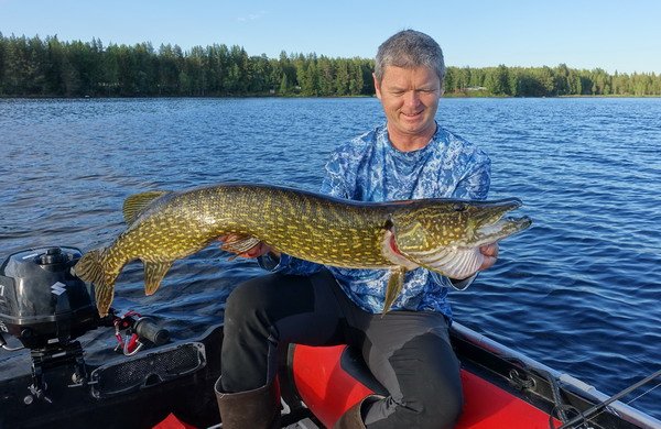 stika 97 cm ulovena pod pereji na prutocnem jezere