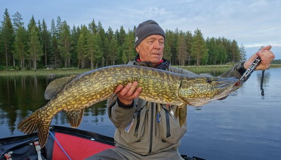 stika 102 cm ulovena na prutocnem jezere