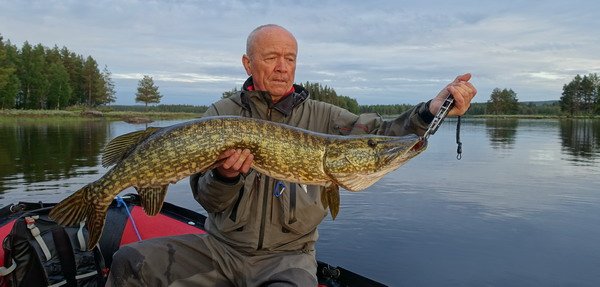 stika 102 cm ulovena na prutocnem jezere