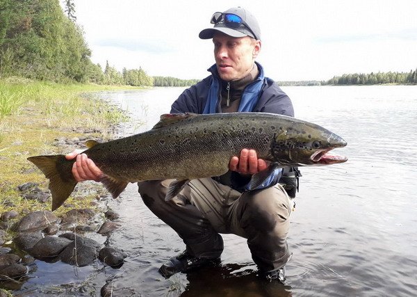 losos atlantsky 90 cm uloveny na plandavku ABU-Toby 28 g