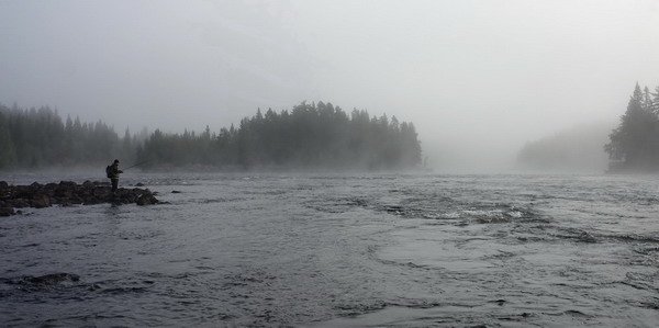 ranní mlha nad rekou Vindelalven, srpen