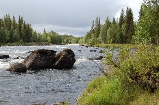 srpen u pereje Rastrandsforsen