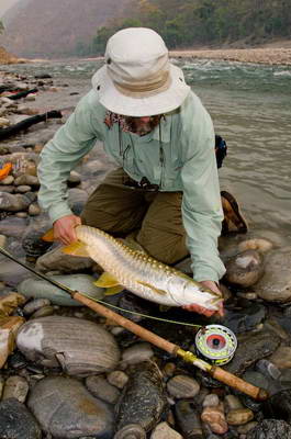 mahseer - Tor putitora uloveny na musku mahseer - Tor putitora uloveny na musku