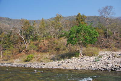 reka Ramganga v Narodnim parku Corbett reka Ramganga v Narodnim parku Corbett