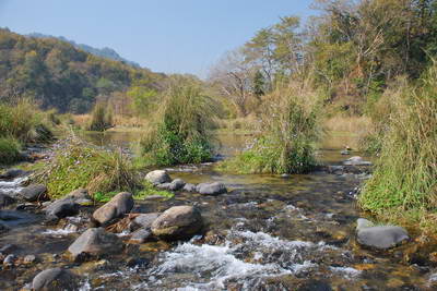 mokrady u reky Ramganga