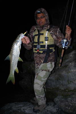 mahseer 70 cm mahseer 70 cm
