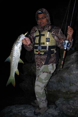 mahseer 70 cm