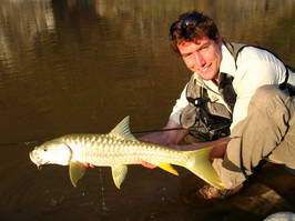 Listopad - Ramganga, mahseer 4 kg