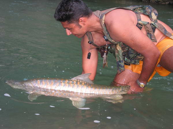 mahseer - pusteni na svobodu