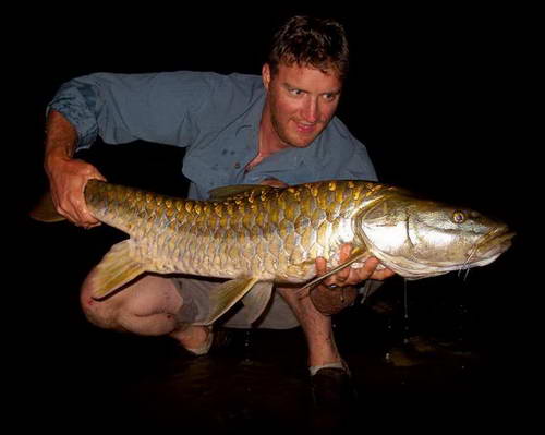 Derekuv mahseer 12 kg uloveny na musku, rijen 2010