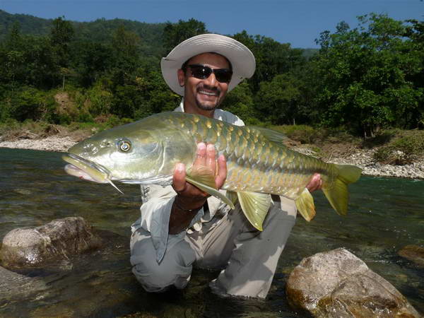 mahseer z reky Ramganga, listopad 2010