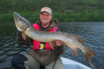 stika 108 cm, cerven stika 108 cm, cerven