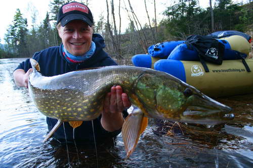 Sperillen 20.5. - stika 8,5 kg ulovena na streamer Sperillen 20.5. - stika 8,5 kg ulovena na streamer
