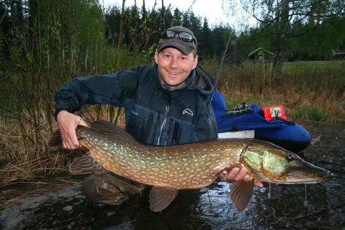 Sperillen 20.5., stika 10 kg ulovena na streamer Sperillen 20.5., stika 10 kg ulovena na streamer