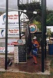 Marlin World Cup - mecoun Marlin World Cup - mecoun