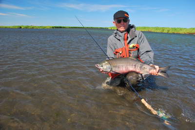 losos keta - Cinder river losos keta - Cinder river