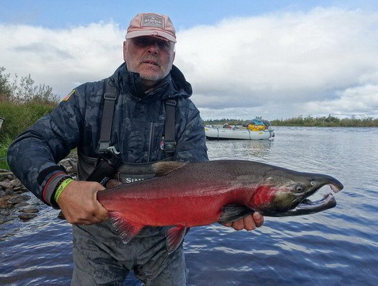 losos kisuc - coho salmon uloveny na streamer