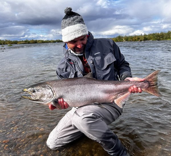 losos cavyca - king salmon 98 cm uloveny na trpytku losos cavyca - king salmon 98 cm uloveny na trpytku