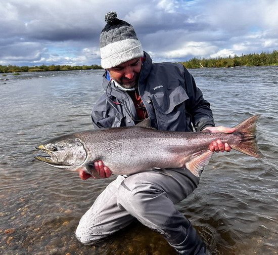 losos cavyca - king salmon 98 cm uloveny na trpytku