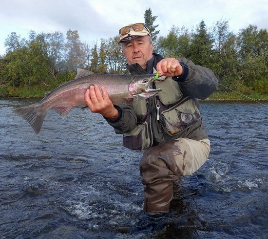 losos kisuc - coho salmon uloveny na streamer