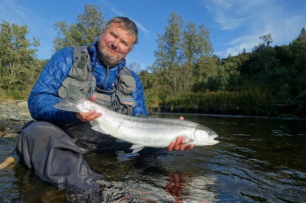 steelhead - tazna forma pstruha duhoveho uloveny na streamer steelhead - tazna forma pstruha duhoveho uloveny na streamer