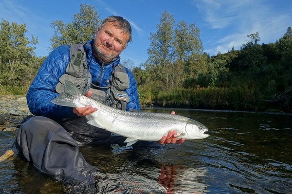 steelhead - tazna forma pstruha duhoveho uloveny na streamer