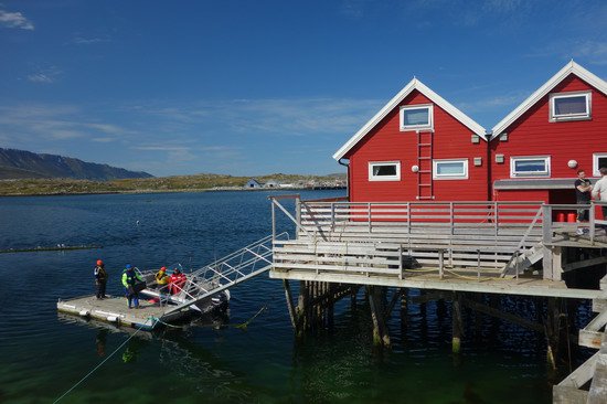 kotviste lodi - molo u chat Vannoya Havfiske kotviste lodi - molo u chat Vannoya Havfiske
