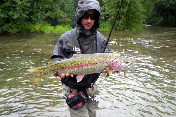 pstruh duhovy - rainbow trout 70 cm