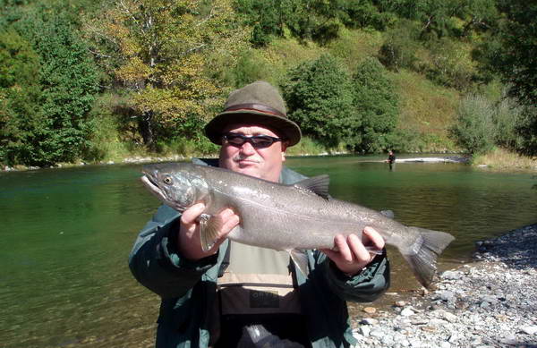 losos kisuc - coho salmon, fresh-silver fish