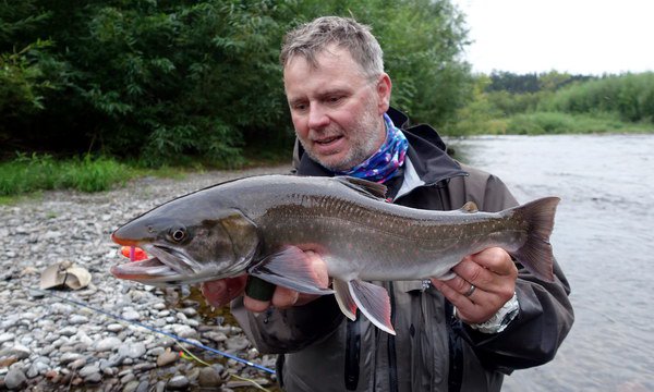 siven malma - Dolly Varden char 56 cm siven malma - Dolly Varden char 56 cm