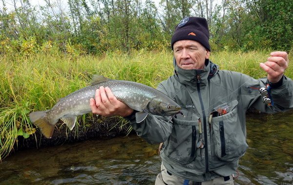 siven vychodosibirsky - kundzha - EastSiberian char siven vychodosibirsky - kundzha - EastSiberian char