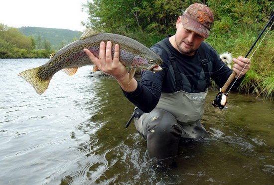 duhak - rainbowtrout duhak - rainbowtrout