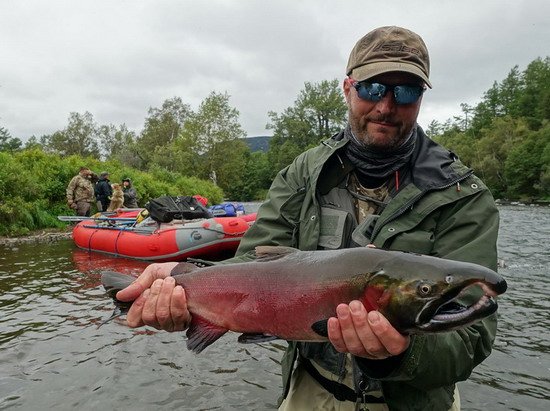 losos kisuc - coho salmon, mlicak