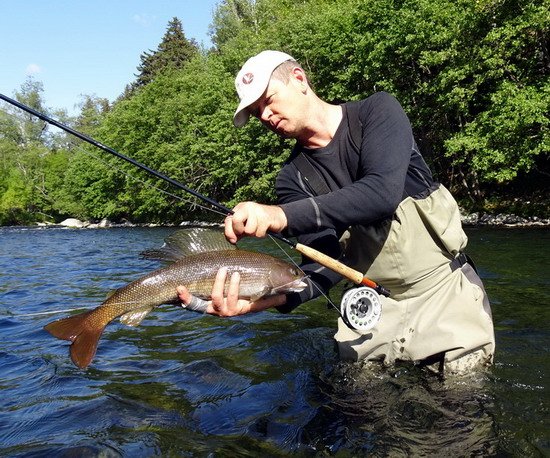 lipan - grayling