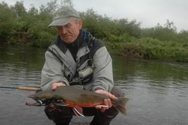 Kundzevaja - siven malma (Dolly Varden), mlicnak 58 cm Kundzevaja - siven malma (Dolly Varden), mlicnak 58 cm
