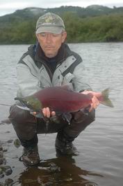 Kundzevaja - losos nerka (sockeye) Kundzevaja - losos nerka (sockeye)