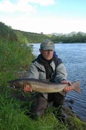 Kundzevaja - siven vychodosibirsky (kundza), 80 cm